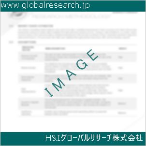 グローバルリサーチ調査資料のイメージ